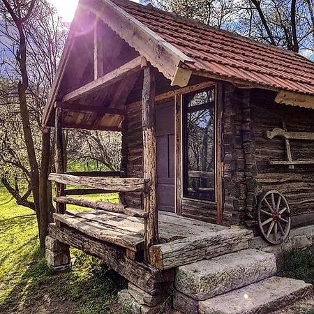 Tinutul Luanei Glamping Resort Bozioru Exterior photo