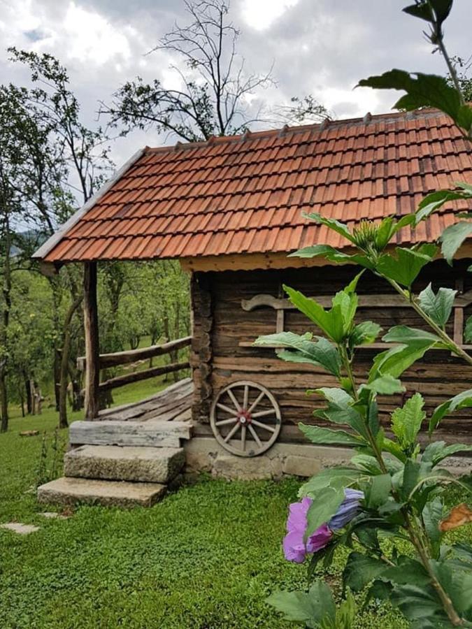 Tinutul Luanei Glamping Resort Bozioru Exterior photo