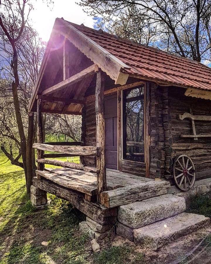 Tinutul Luanei Glamping Resort Bozioru Exterior photo