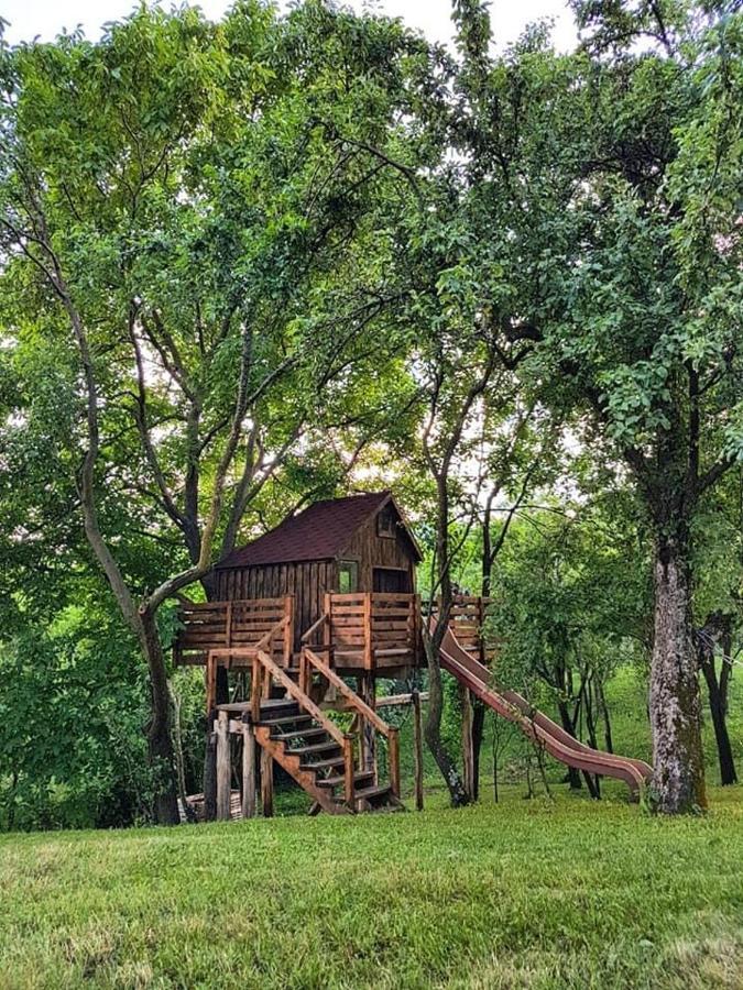 Tinutul Luanei Glamping Resort Bozioru Exterior photo