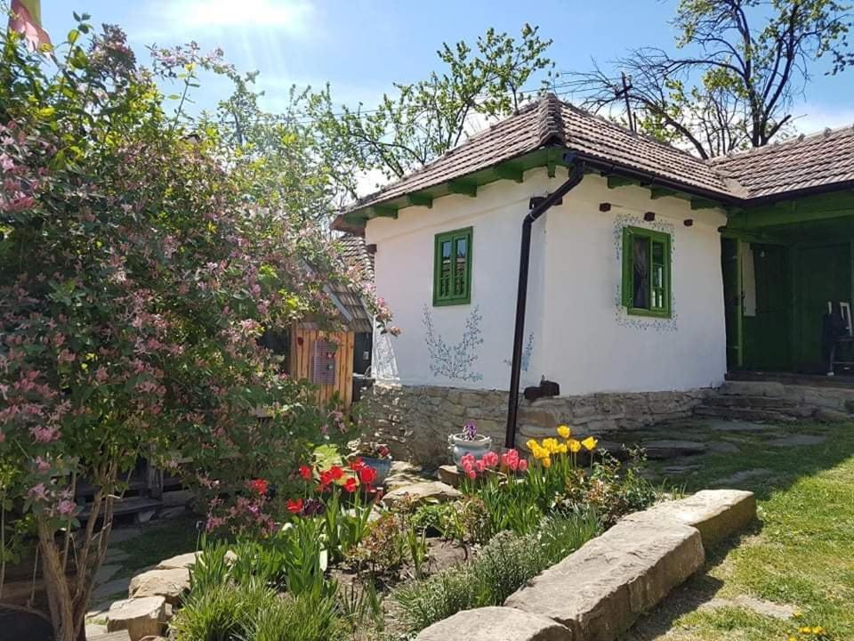 Tinutul Luanei Glamping Resort Bozioru Exterior photo