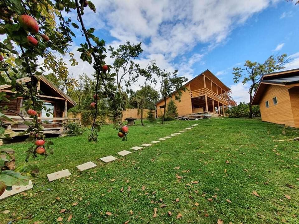 Tinutul Luanei Glamping Resort Bozioru Exterior photo