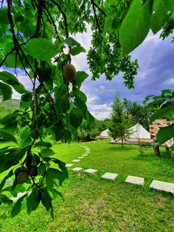 Tinutul Luanei Glamping Resort Bozioru Exterior photo