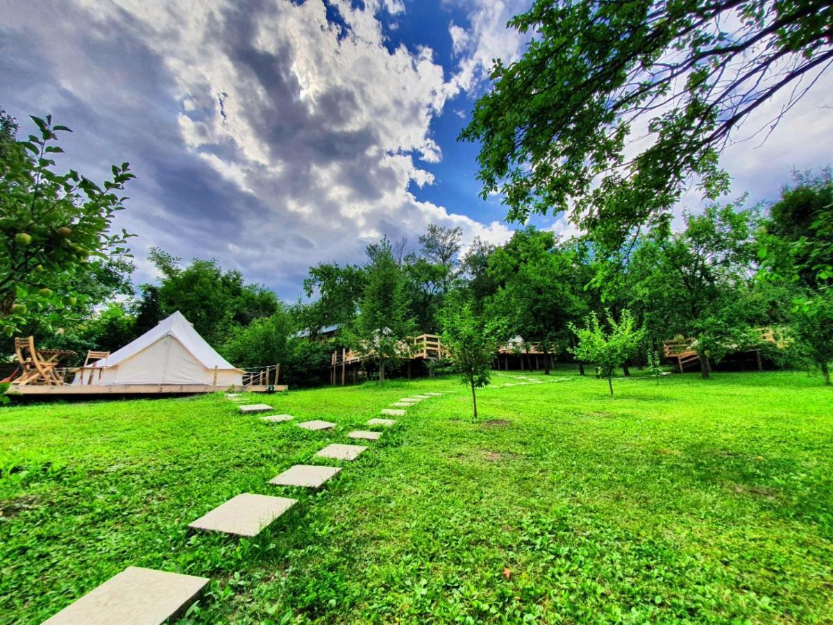 Tinutul Luanei Glamping Resort Bozioru Exterior photo